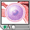 Cell division
