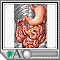 Digestion