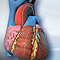 Cardiac catheterization